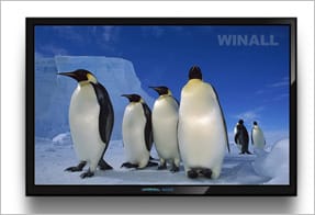 Winall LCD Display
