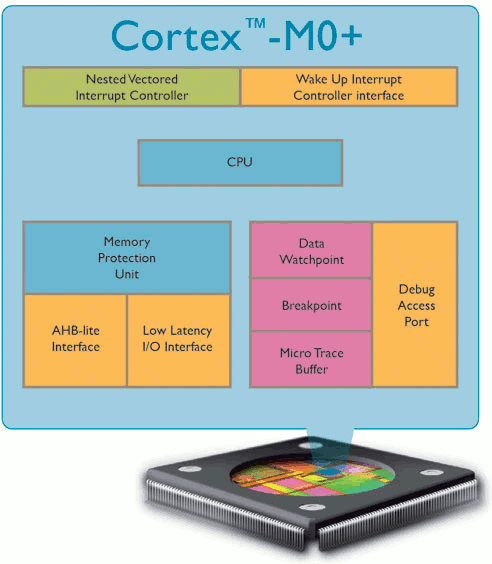 ARM Cortex-M0+ Block Diagram ARM Cortex-M0+ Architecture
