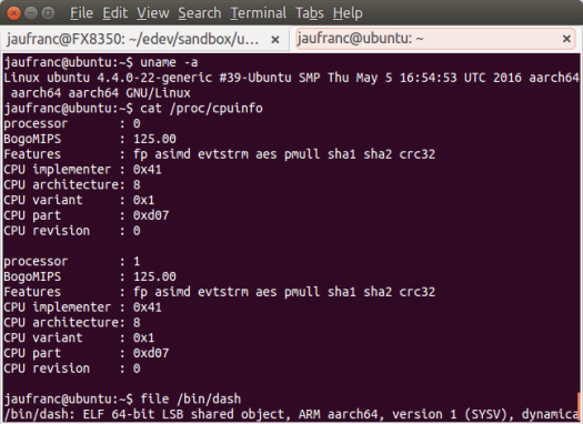 Ubuntu_16.04_ARM_Cortex_A57