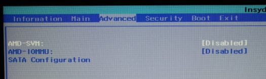Disable AMD SVM AMD IOMMU
