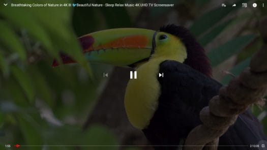 Youtube Controls Not Hiding Android
