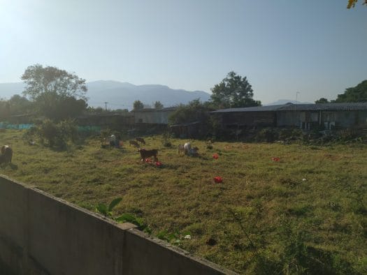Xiaomi Mi A2 camera foggy