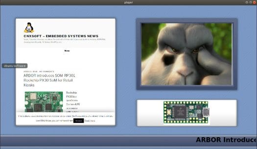 Xibo Player Linux