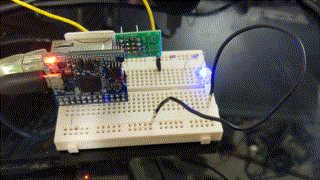 blinky demo