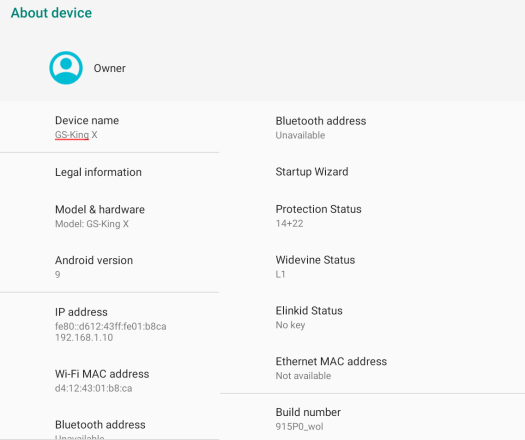 Beelink GS-King-X Android 9 About Device