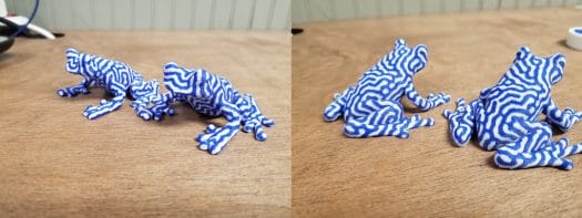 bi-color frogs
