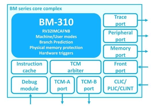 BM-310 RISC-V IoT Processor