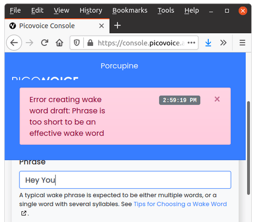 invalid wake word