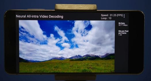 Software neural video decoder with ai accelerator