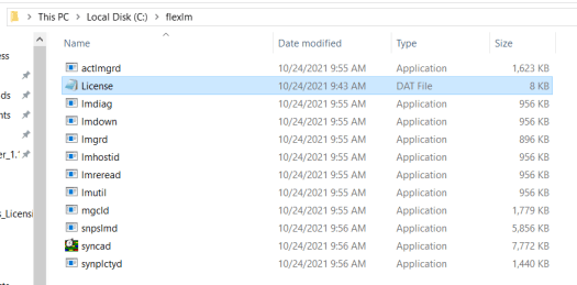 Windows Licensing Daemon flexlm