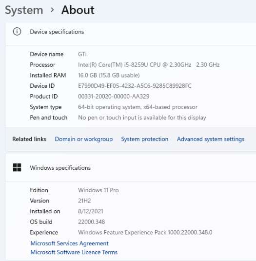 Windows 11 Pro System Info