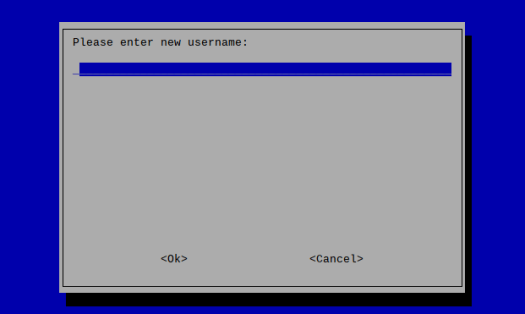 Raspberry Pi OS Lite create user