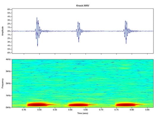 audio recording fish coral reef