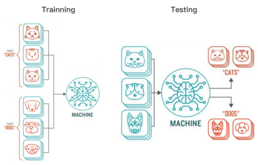 Training Testing machine learning Training Testing machine learning