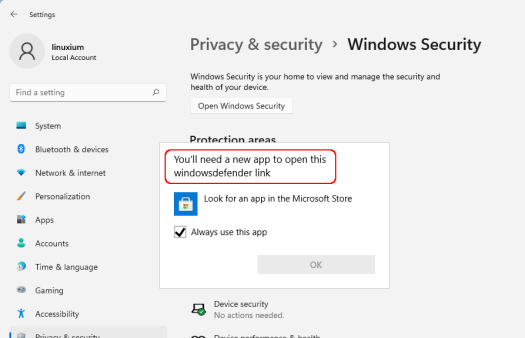 Windows 11 security issue