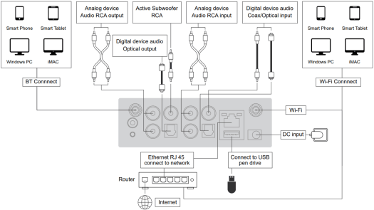 Arylic S50 Pro+ connection diagram