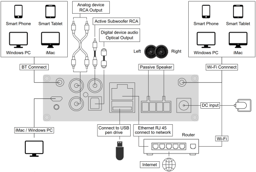 Arylic a50 connections Arylic a50+ connections