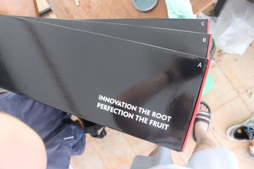 Innovación la raíz perfecciona el fruto