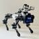 XGO CM4 Lite Review Raspberry Pi Robot
