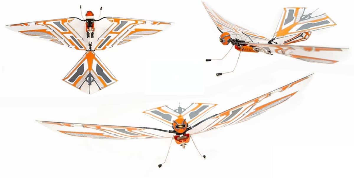 x fly the drone designed to soar like a bird
