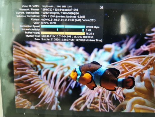ODROID-M1S youtube 1080p chromium in Ubuntu 20.04