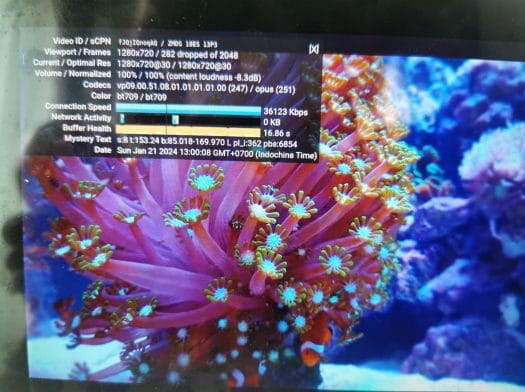ODROID-M1S YouTube 720p chromium benchmark in Ubuntu 20.04
